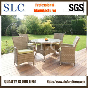 Rattan Dining Round Table and Chairs (SC-B6904)